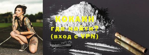 ПСИЛОЦИБИНОВЫЕ ГРИБЫ Магас