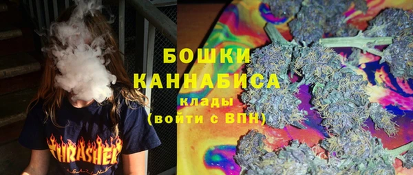 ПСИЛОЦИБИНОВЫЕ ГРИБЫ Магас