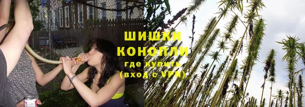 ПСИЛОЦИБИНОВЫЕ ГРИБЫ Магас