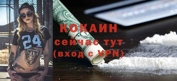 ПСИЛОЦИБИНОВЫЕ ГРИБЫ Магас