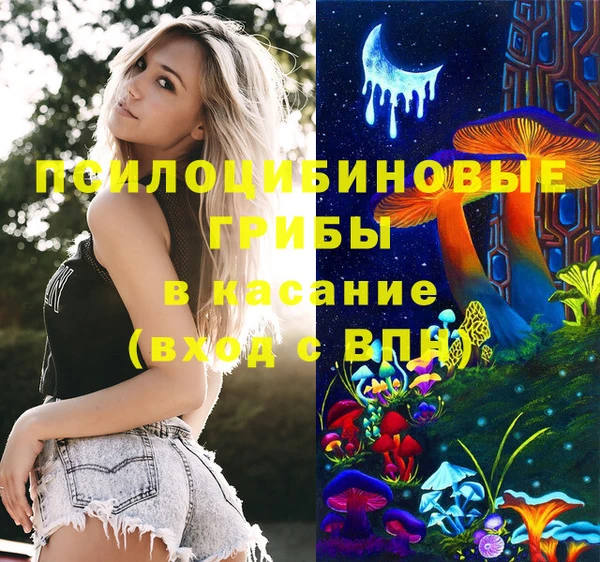 меф Майский