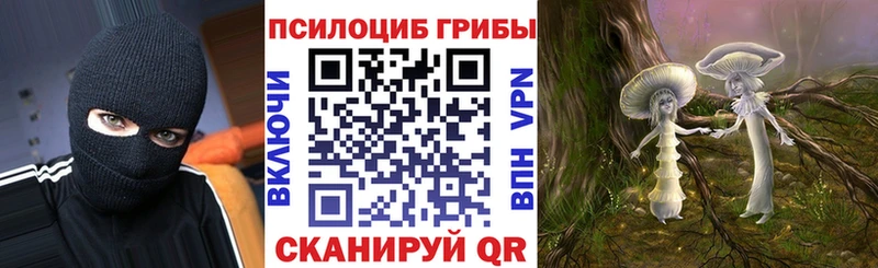 кракен сайт  цены наркотик  Таштагол  Галлюциногенные грибы Psilocybine cubensis 